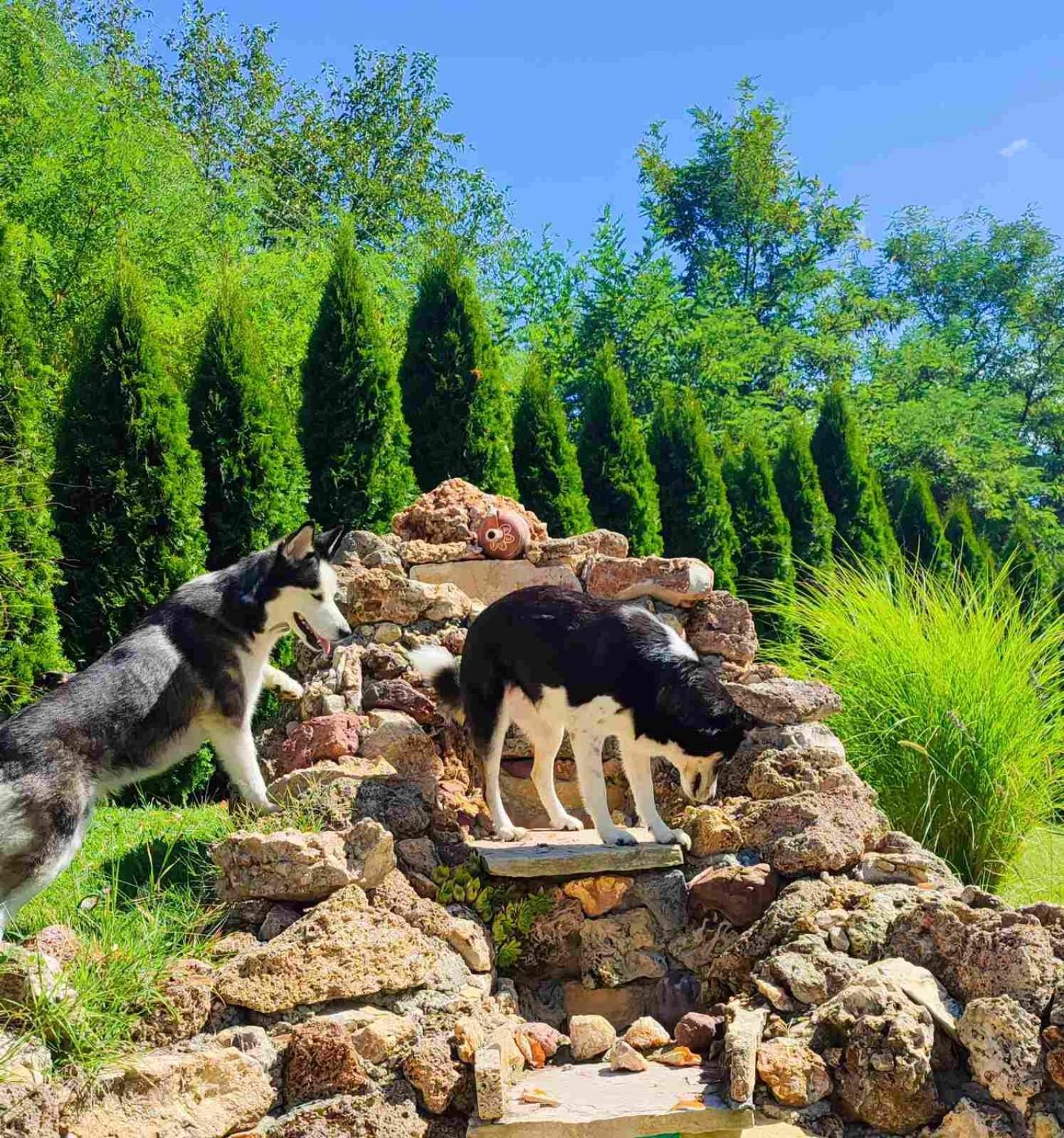 Kuca Za Uzivanje Valjevo Exterior photo